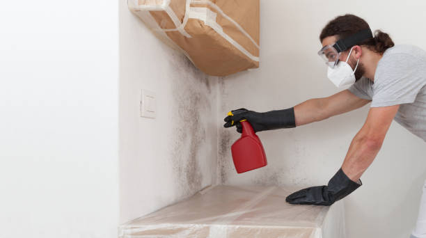 Professional Mold Testing technician working in Preston, TX